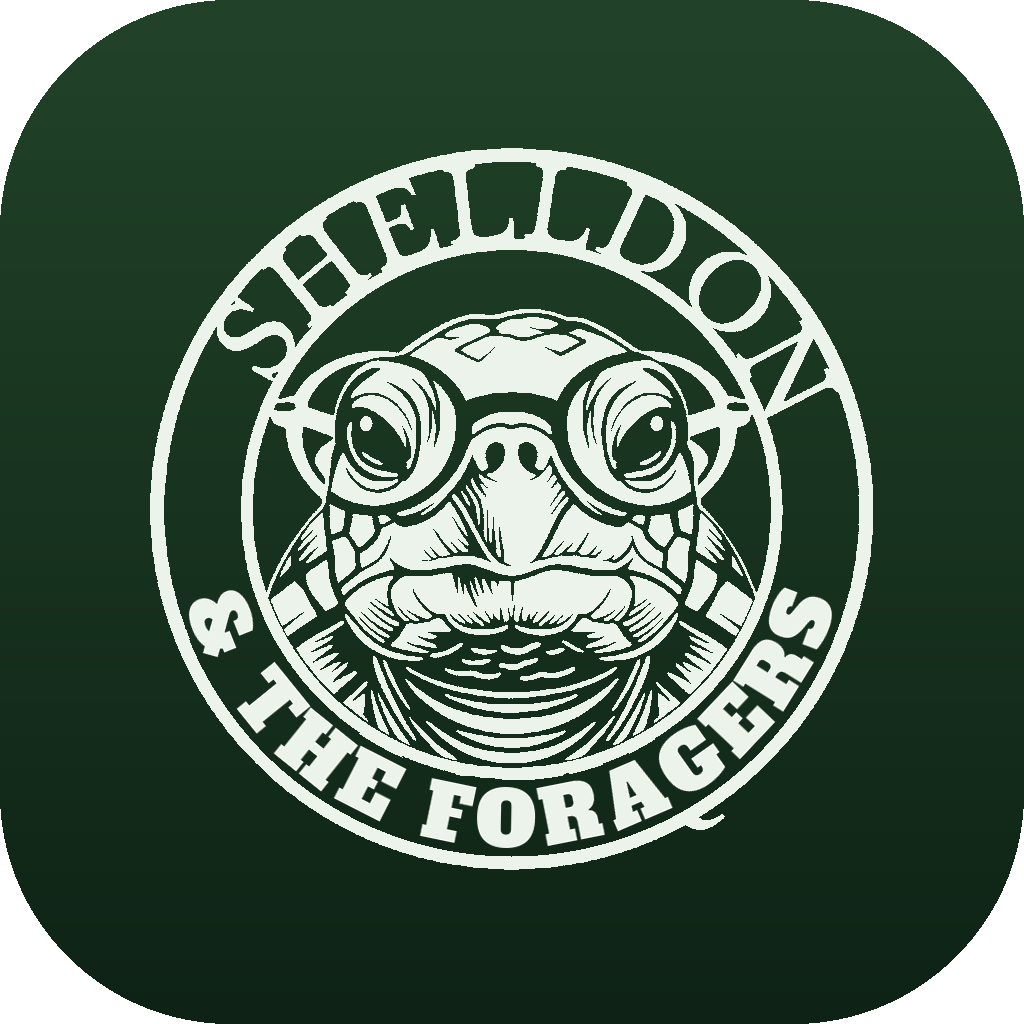 Shelldon logo